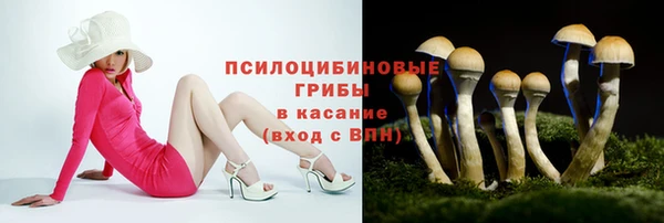спиды Красноперекопск