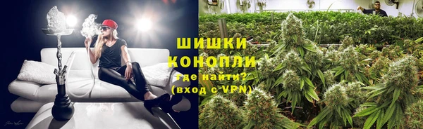 spice Краснослободск