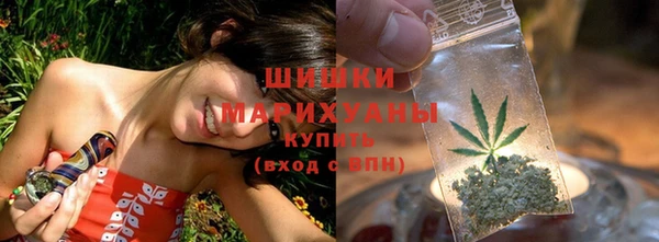 spice Краснослободск